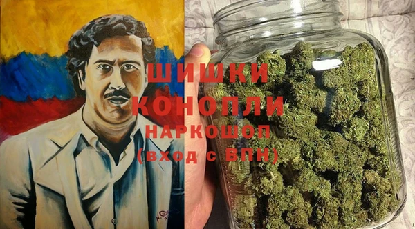 трава Осинники