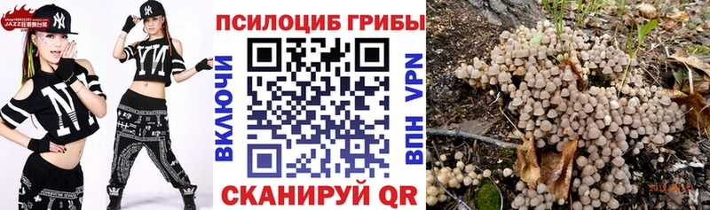 OMG tor  Дудинка  мориарти наркотические препараты  Галлюциногенные грибы Psilocybine cubensis 
