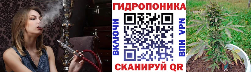 Шишки марихуана марихуана  наркота  Дудинка 